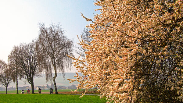 3-Länder-Tour Süd-Niedersachsen 3-Länder-Tour Süd-Niedersachsen